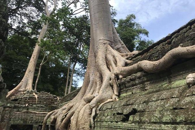 Siem Reap Full Day Angkor Wat Tour Small Group - The real cost, timing, and what to bring