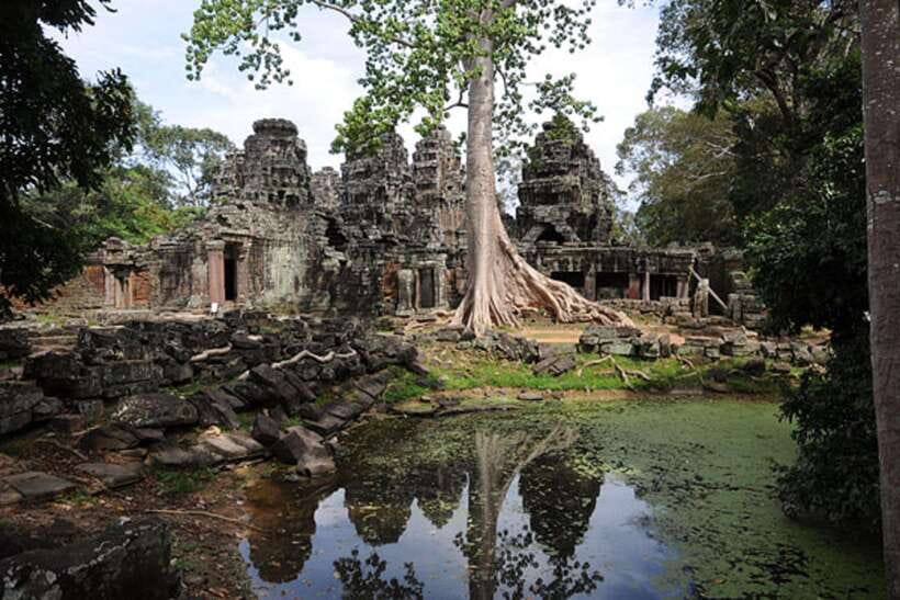 Siem Reap: Full-Day Tuk-Tuk Tour of Angkor Wat Temples - Ta Prohm: the temple many people remember best