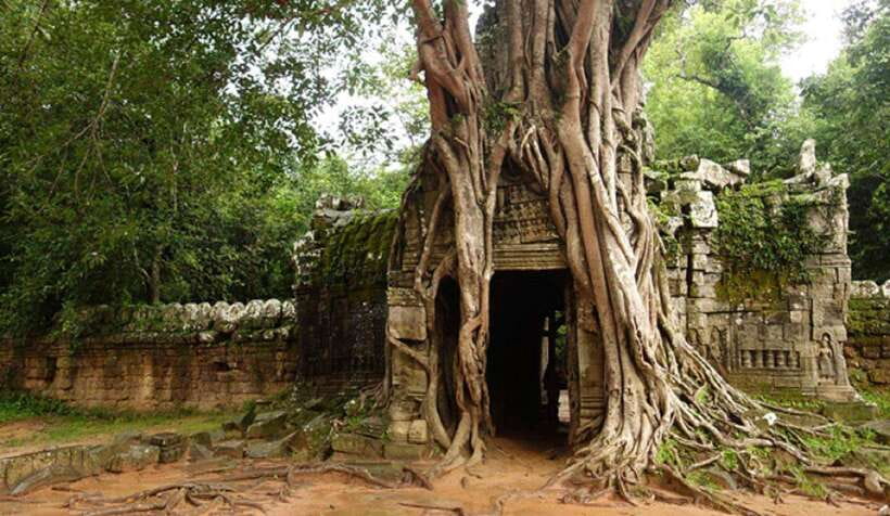 Siem Reap: Grand Circle Temples Tour With Private Tuk-Tuk - East Mebon: another one-hour circuit stop