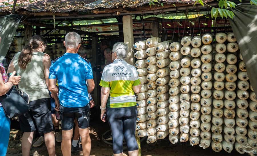 Siem Reap: Guided Countryside Bike Tour - Price, group size, and what you receive