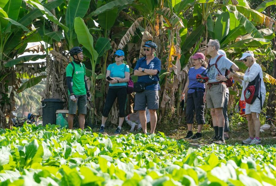 Siem Reap: Guided Countryside Bike Tour - How the guides shape the experience