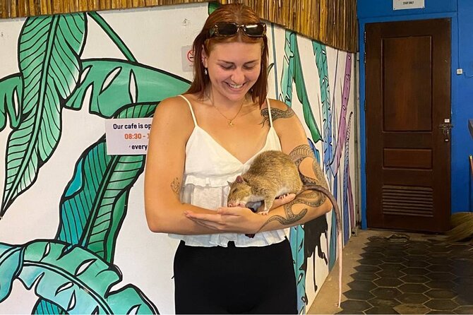 Siem Reap Guided Tour & Hero RATs at APOPO Visitor Center - The Royal Residence in a 30-minute stop