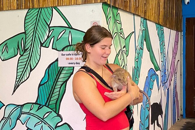 Siem Reap Guided Tour & Hero RATs at APOPO Visitor Center - Transport, pace, and how the day feels