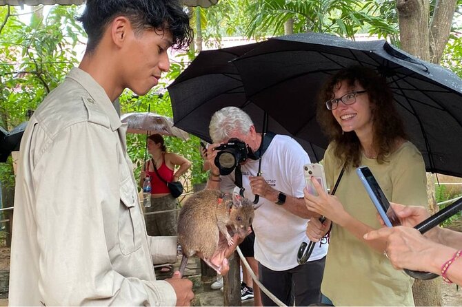 Siem Reap Guided Tour & Hero RATs at APOPO Visitor Center - APOPO Visitor Center and the 90-minute HeroRAT visit