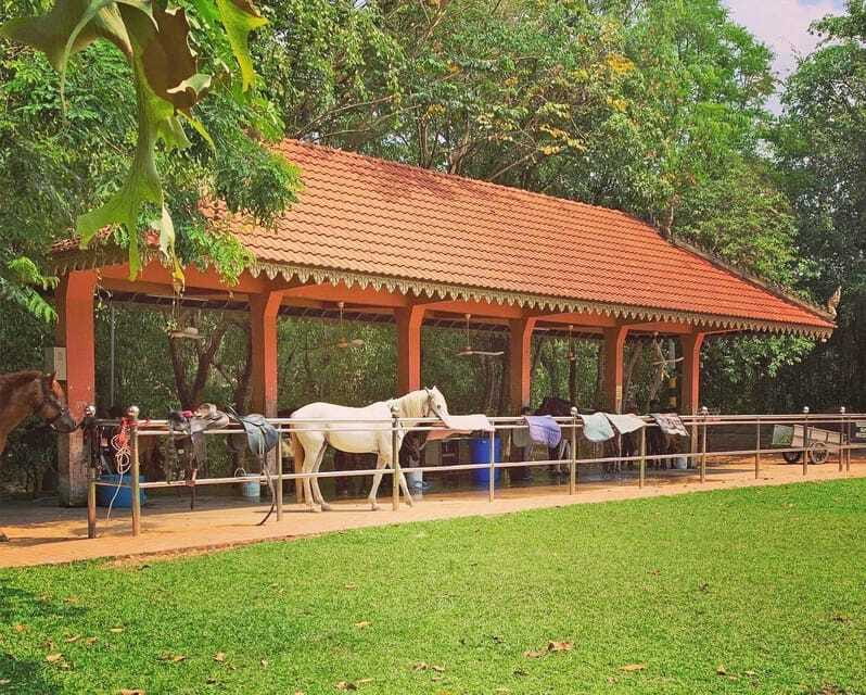 Siem Reap Happy Horse Riding Free Pick-up & Drop-off - What the $72 price really covers