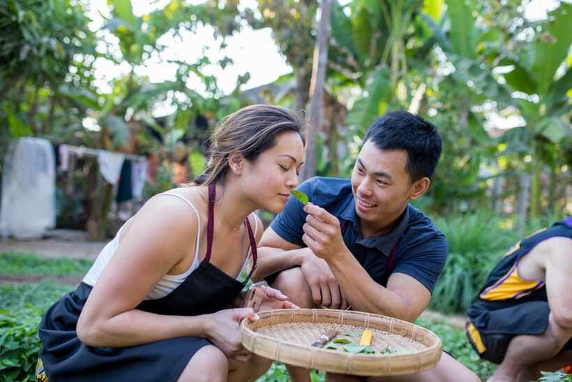 Siem Reap: Khmer Cooking Class at a Local's Home - The main strengths, and a few fair warnings