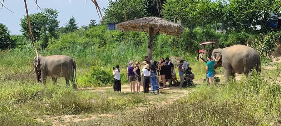 Siem Reap: Kulen Elephant Forest Guided Tour - Key points to know before you go