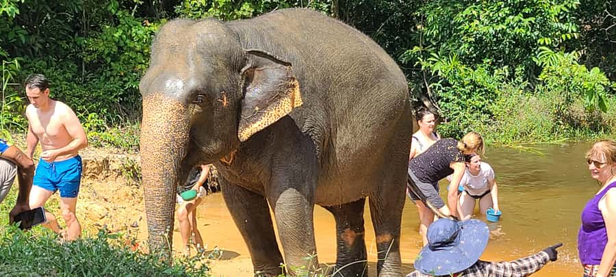 Siem Reap: Kulen Elephant Forest Guided Tour - Booking, cancellation, and practical timing