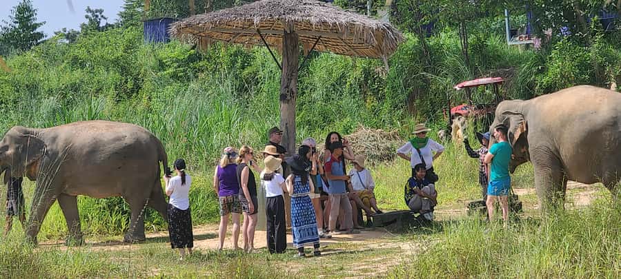 Siem Reap: Kulen Elephant Forest Guided Tour - The road from Siem Reap to Kulen Elephant Forest