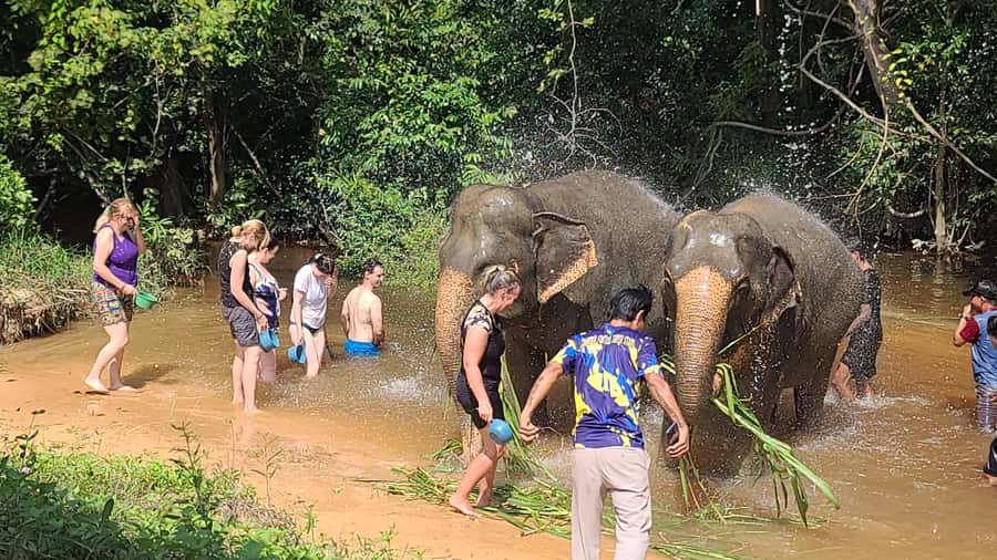 Siem Reap: Kulen Elephant Forest Guided Tour - Is $128 a fair price?