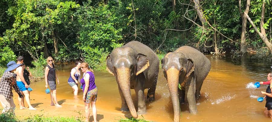 Siem Reap: Kulen Elephant Forest Guided Tour - Morning or afternoon: which departure works best?