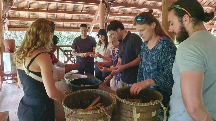 Siem Reap: Kulen Elephant Forest Guided Tour - Who will enjoy this experience most?