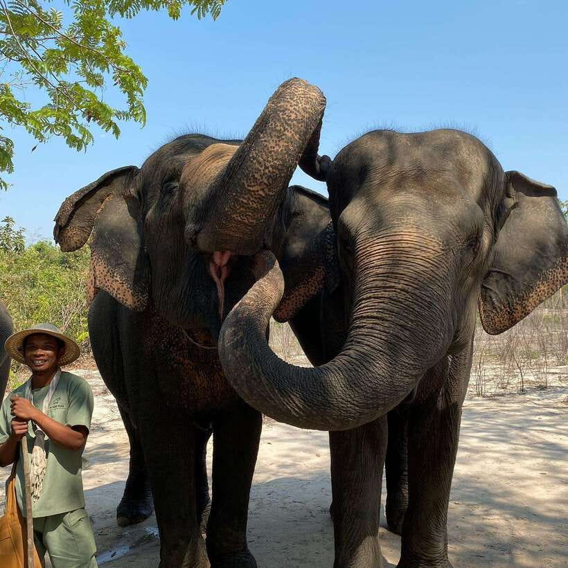 Siem Reap: Kulen Elephant Forest & Tonlesap Lake - Key points at a glance