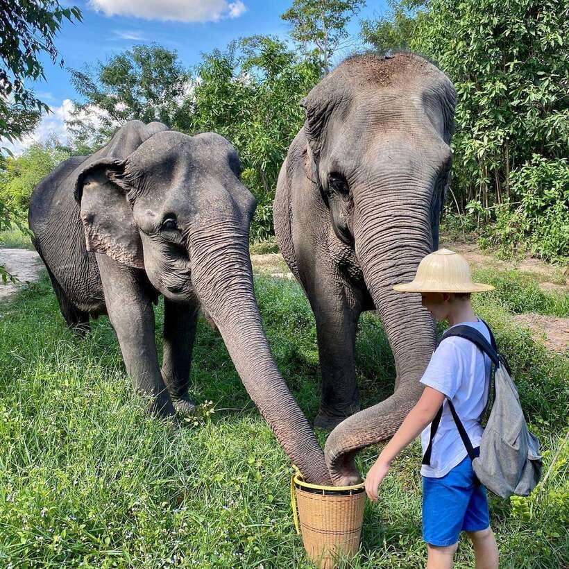 Siem Reap: Kulen Elephant Forest & Tonlesap Lake - Is $217 a fair price?
