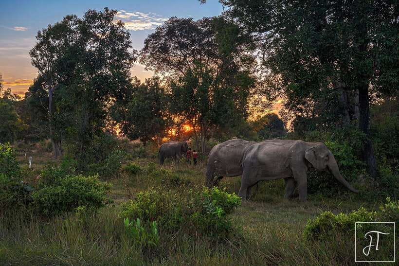 Siem Reap: Kulen Elephant Forest & Tonlesap Lake - What to bring for a hot outdoor day