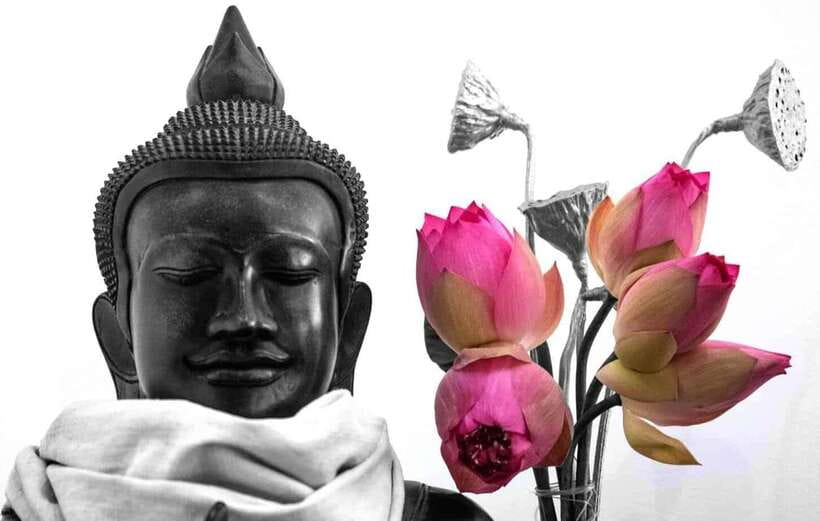 Siem Reap Lotus Silk Farm Discovery tour & Lake experience - The Short Tuk-Tuk Ride to the Lotus Fields
