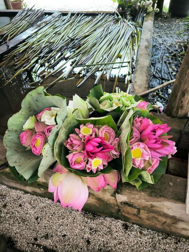 Siem Reap Lotus Silk Farm Discovery tour & Lake experience - Shopping Without Pressure