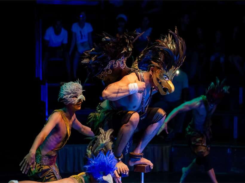 Siem Reap: Phare, Cambodian Circus with Tuk-Tuk Transfers - Who should book this evening?