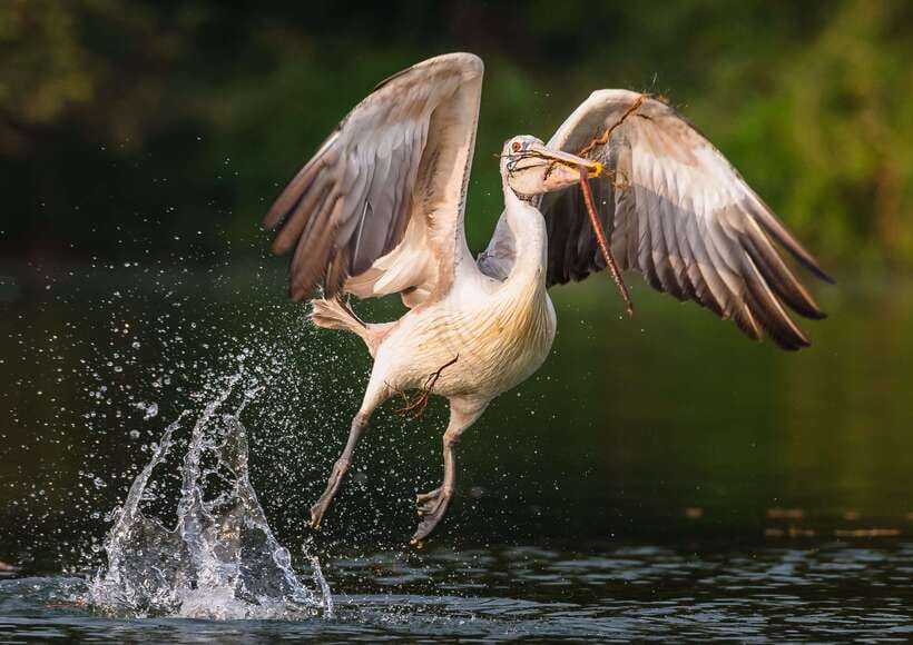 Siem Reap: Prek Toal Tonle Sap Biosphere Reserve Tour - Is $219 a fair price?