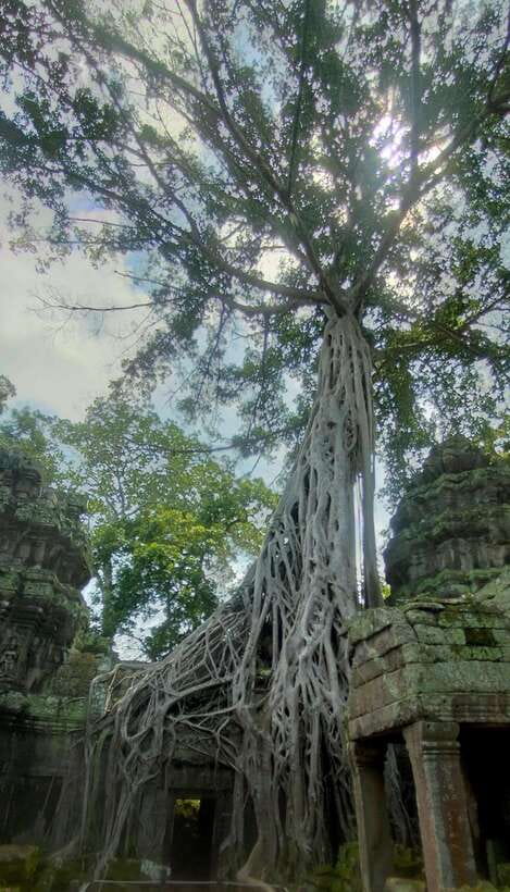 Siem Reap Private Tour: Angkor Wat Sunrise And Banteay Srei - Bayon Temple and its famous stone faces