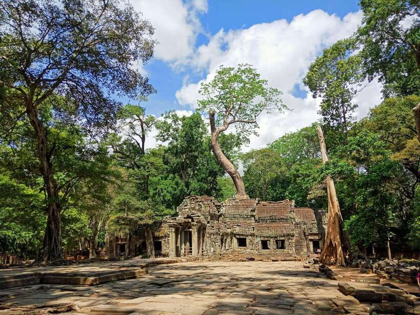 Siem Reap Private Tour: Angkor Wat Sunrise And Banteay Srei - Ta Prohm, roots and movie fame