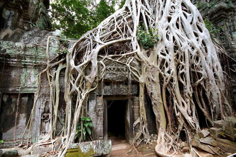 Siem Reap: Private Tour of Angkor Complex - Baphuon, Phimeanakas, and the royal center