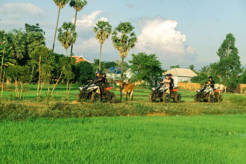 Siem Reap: Quad Bike Tour of Local Villages - The rice paddy sunset stop