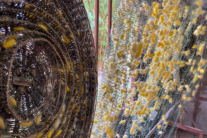 Siem Reap: Silk Farm & Countryside Offbeat Jeep Tour - The silk farm and traditional handwork
