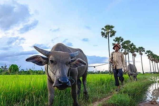 Siem Reap: Silk Farm & Countryside Offbeat Jeep Tour - The vintage Jeep is part of the attraction