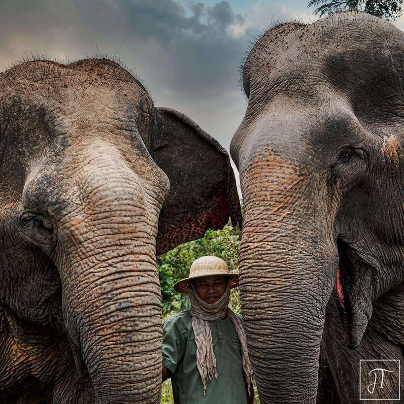 Siem Reap: Small Group Tour of Kulen Elephant Forest - Key points to know before booking