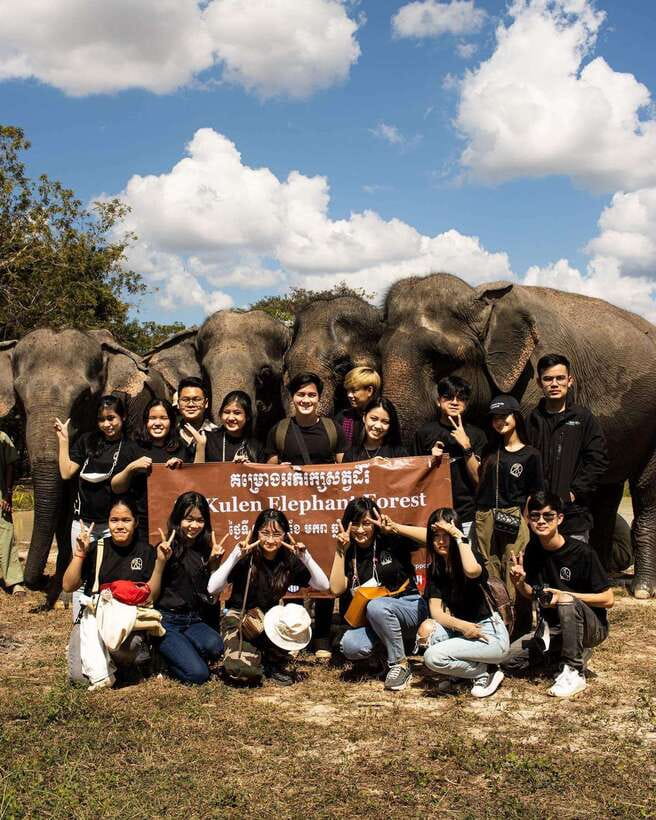 Siem Reap: Small Group Tour of Kulen Elephant Forest - Who should book this experience?