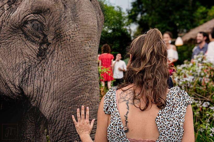 Siem Reap: Small Group Tour of Kulen Elephant Forest - Watching the elephants by the pond
