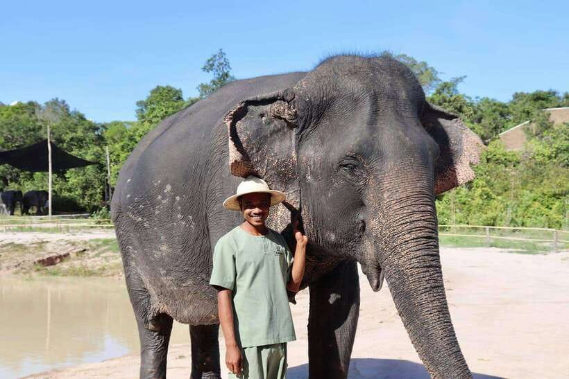 Siem Reap: Small Group Tour of Kulen Elephant Forest - The one-hour ride from Siem Reap