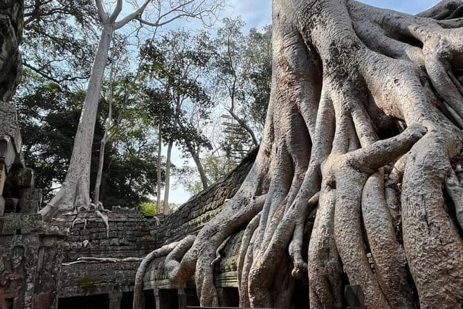 Siem Reap Temple Tuktuk Tour: Explore Angkor Wat and beyond. - Timing, comfort, and the five to seven-hour schedule