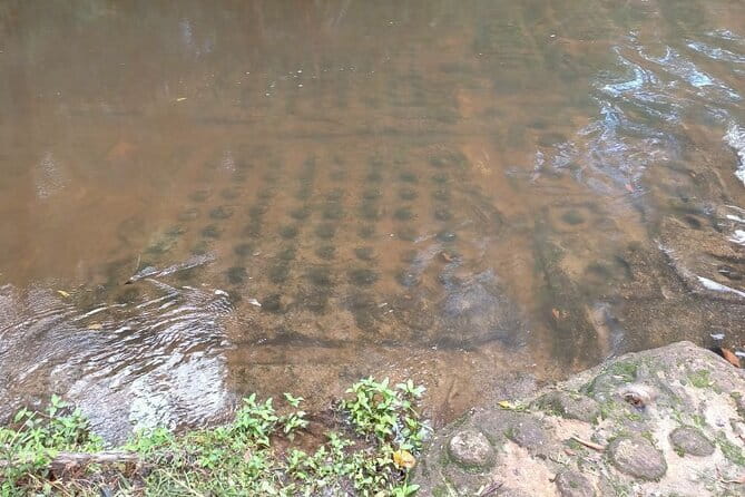 Siem Reap to Phnom Kulen: Waterfalls & 1000 Lingas Tour - Finding the carvings at the River of a Thousand Lingas