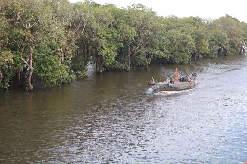 Siem Reap: Tonle Sap Lake - Fishing Village & Flooded Forest - Is $45 A Fair Price?