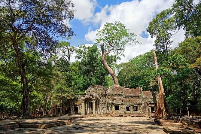 Siem Reap Tour: Angkor Wat Sunrise, Bayon, Ta Prohm, Banteay Srei - The Private Vehicle Is Part of the Value