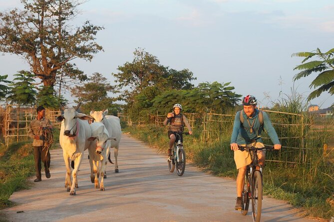 Silk Island at Twilight Cycle Encounter - Key points at a glance
