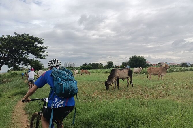 Silk Island at Twilight Cycle Encounter - Riding along riverside tracks and village roads