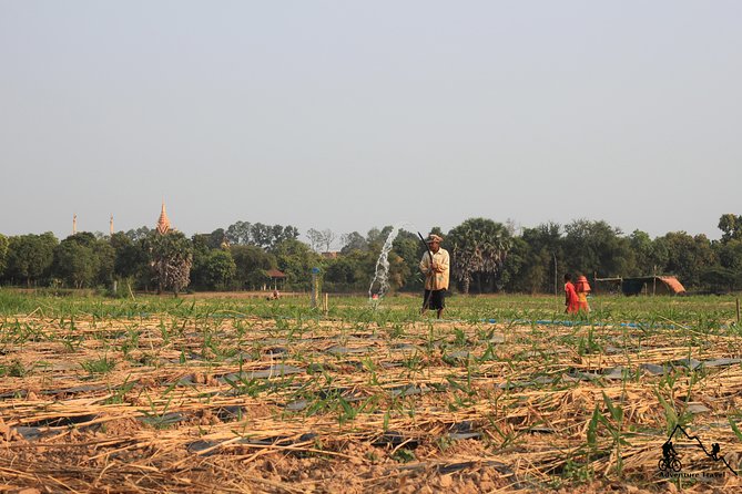 Silk Island & countryside of Phnom Penh by Tuk Tuk - Leaving Phnom Penh by tuk-tuk and ferry