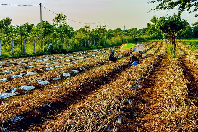 Silk Island Private Half-Day Tour from Phnom Penh - Buying Handmade Silk Without Losing the Point