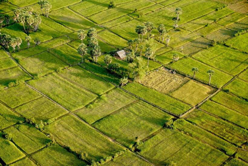 Sky Venture Microlight Siem Reap - Why this small aircraft changes the Angkor view