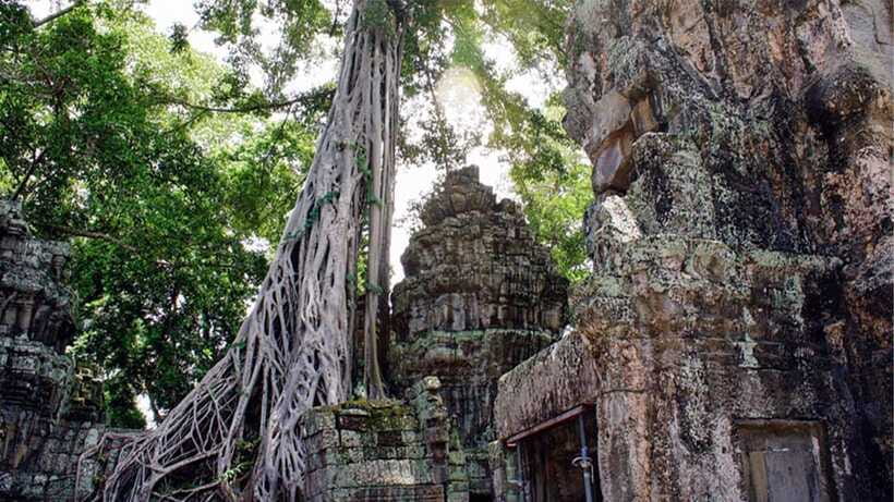 Small-Group Explore Angkor Wat Sunrise Tour with Guide - Transport, group size, and comfort