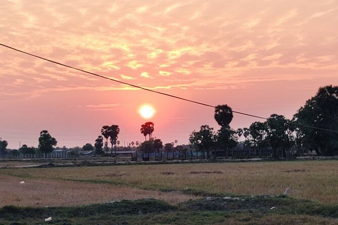 Small Group Sunset, Picnic & Countryside, Bike Tours - Tasting Cambodian snacks, desserts, and street food
