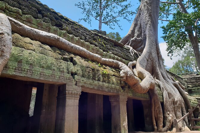 Special Three Days Angkor Tour - Dara Rann and the private guiding style