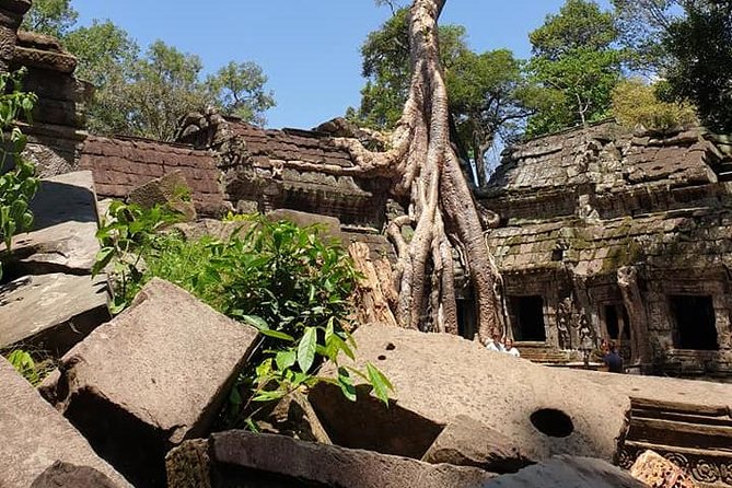 Special Three Days Angkor Tour - What the $70 price really covers