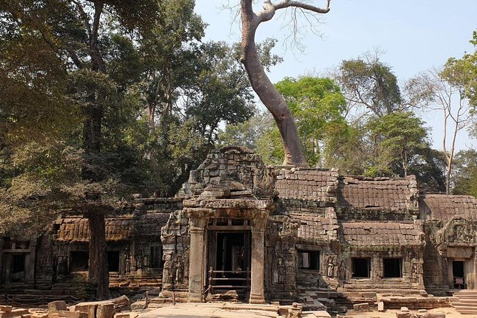 Sunrise Tour of Angkor Temples from Siem Reap - Who will enjoy this tour most