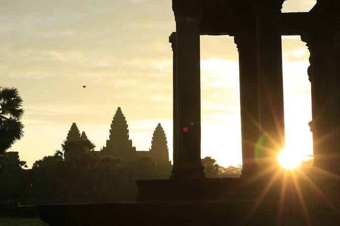 Sunrise Tour of Angkor Temples from Siem Reap - Ta Prohm and the Tomb Raider connection