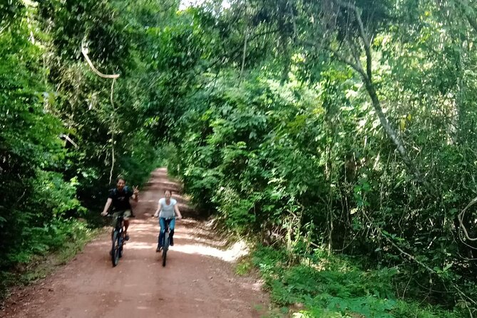 Sunset or sunrise bicycle tour around Angkor Wat and nearby temples - Angkor Thom and the Bayon’s stone faces