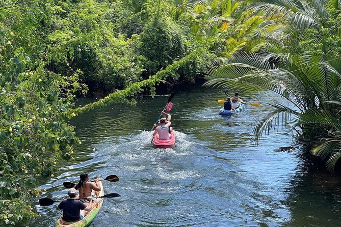 Sunset Scenic Kayaking and Swimming Activity - Key Details Before You Book